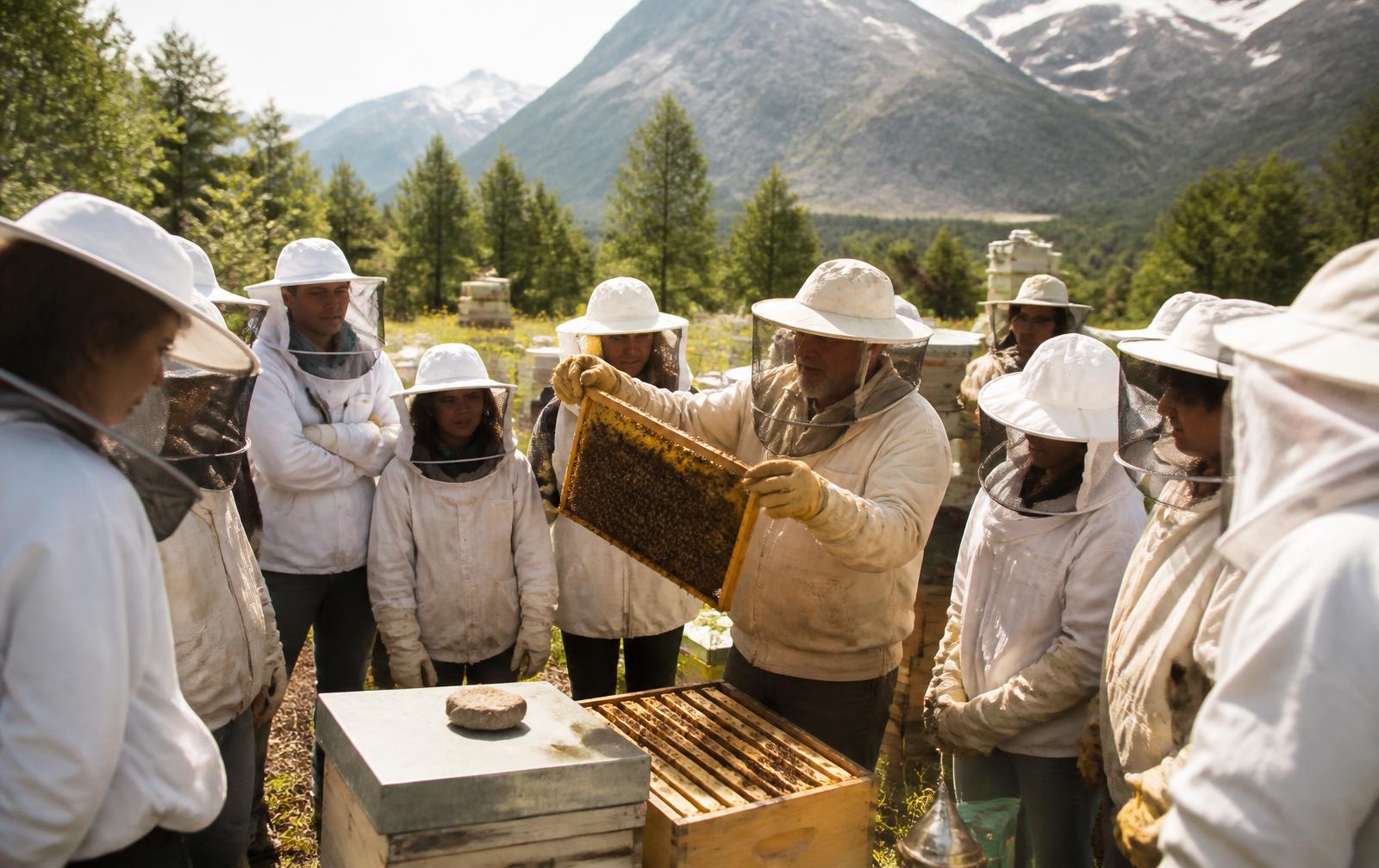 Students in veils gathered around an open hive at a mountain apiary workshop