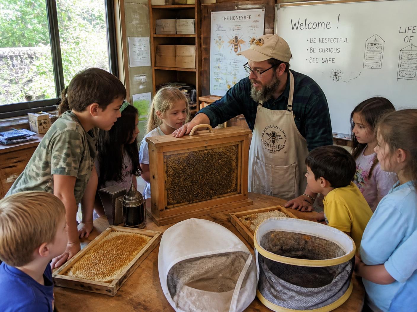 Schoolchildren gathered around a glass observation hive with a beekeeper in a classroom