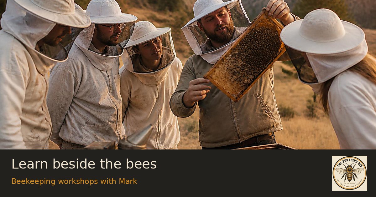 Learn beside the bees — logo-branded illustrative sharing picture