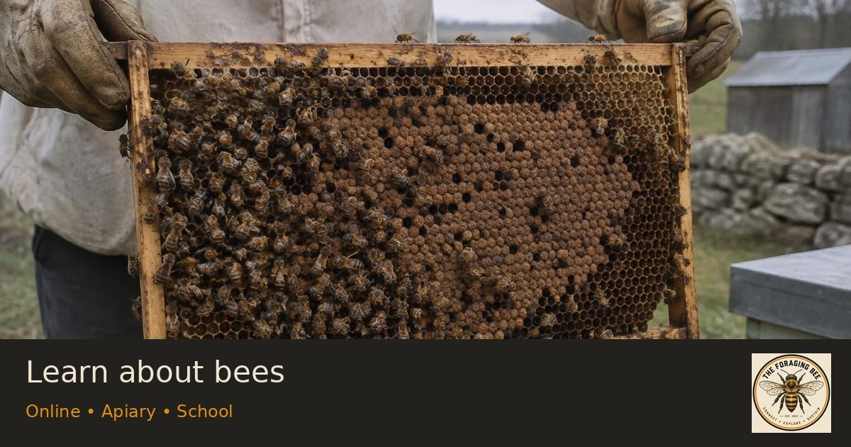 Learn about bees — logo-branded illustrative sharing picture