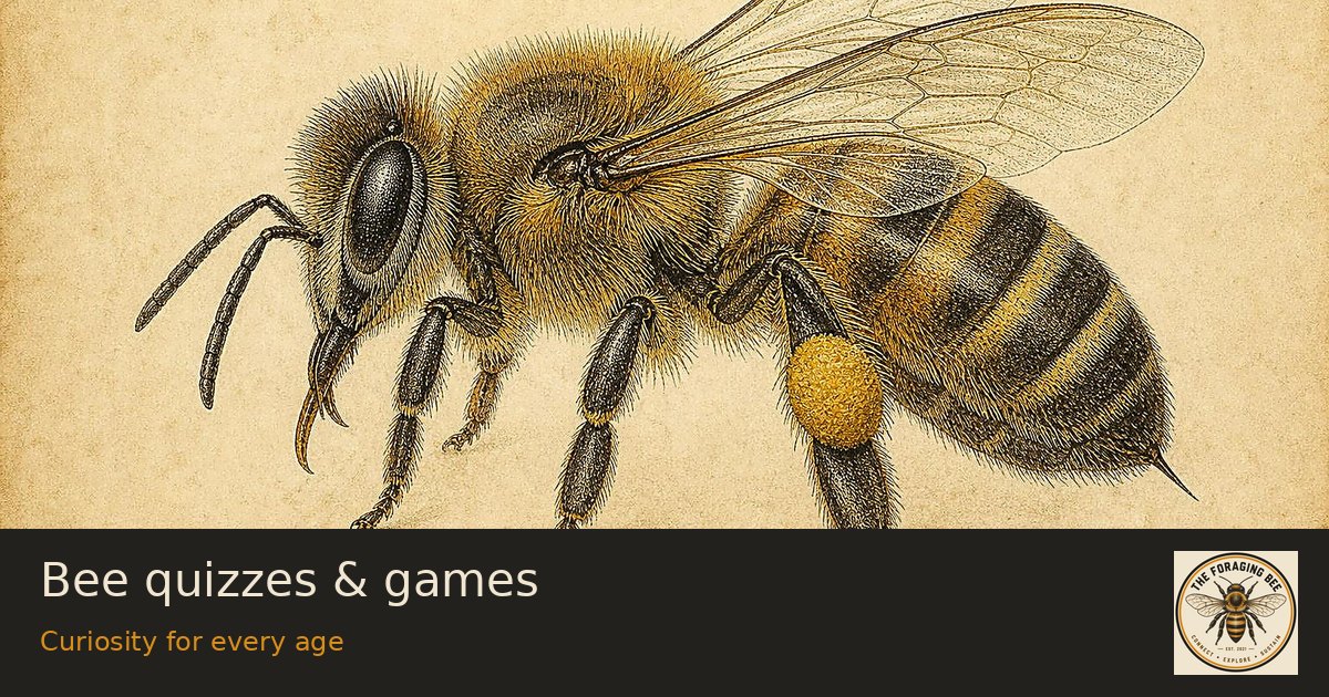 Bee quizzes & games — logo-branded illustrative sharing picture