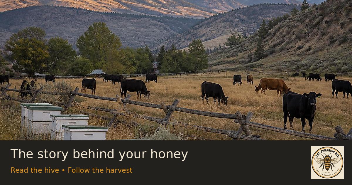 The story behind your honey — logo-branded illustrative sharing picture