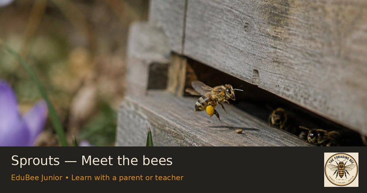 Sprouts — Meet the bees — logo-branded illustrative sharing picture