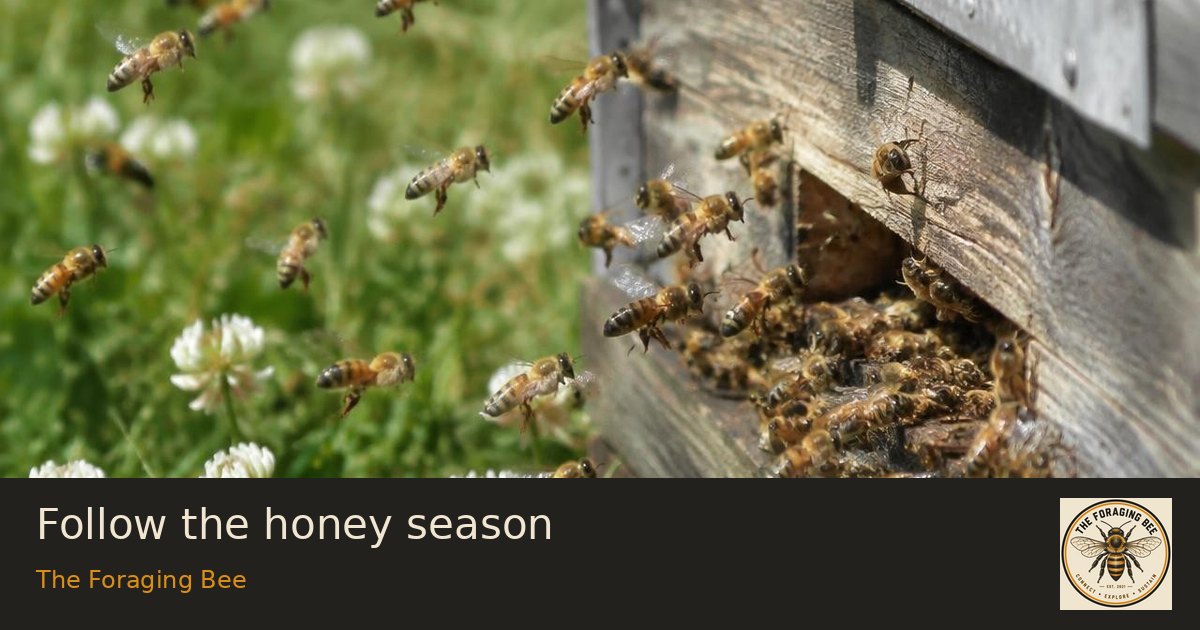 Follow the honey season — logo-branded illustrative sharing picture