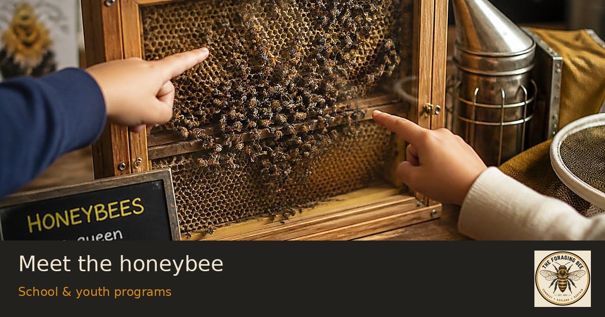 Meet the honeybee — logo-branded illustrative sharing picture
